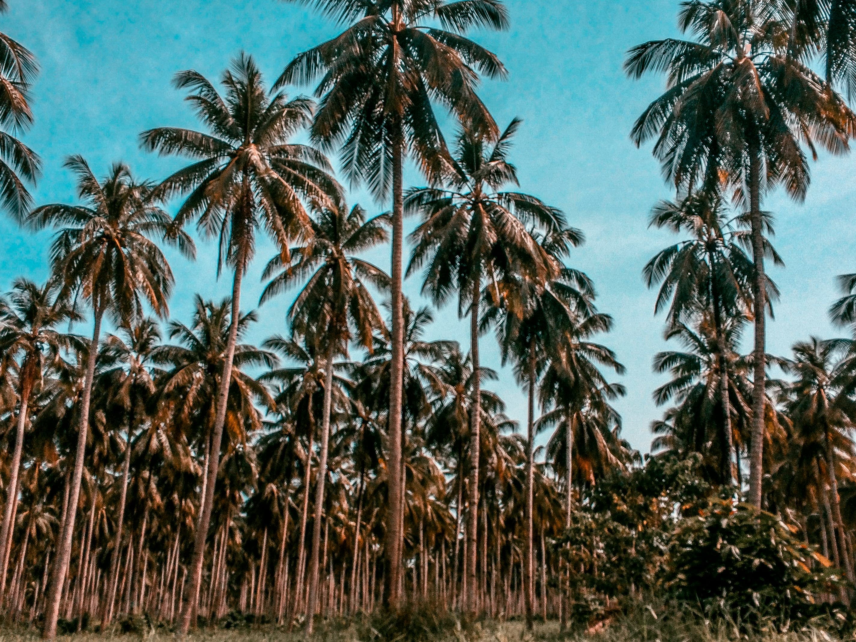 OUR VISION Background