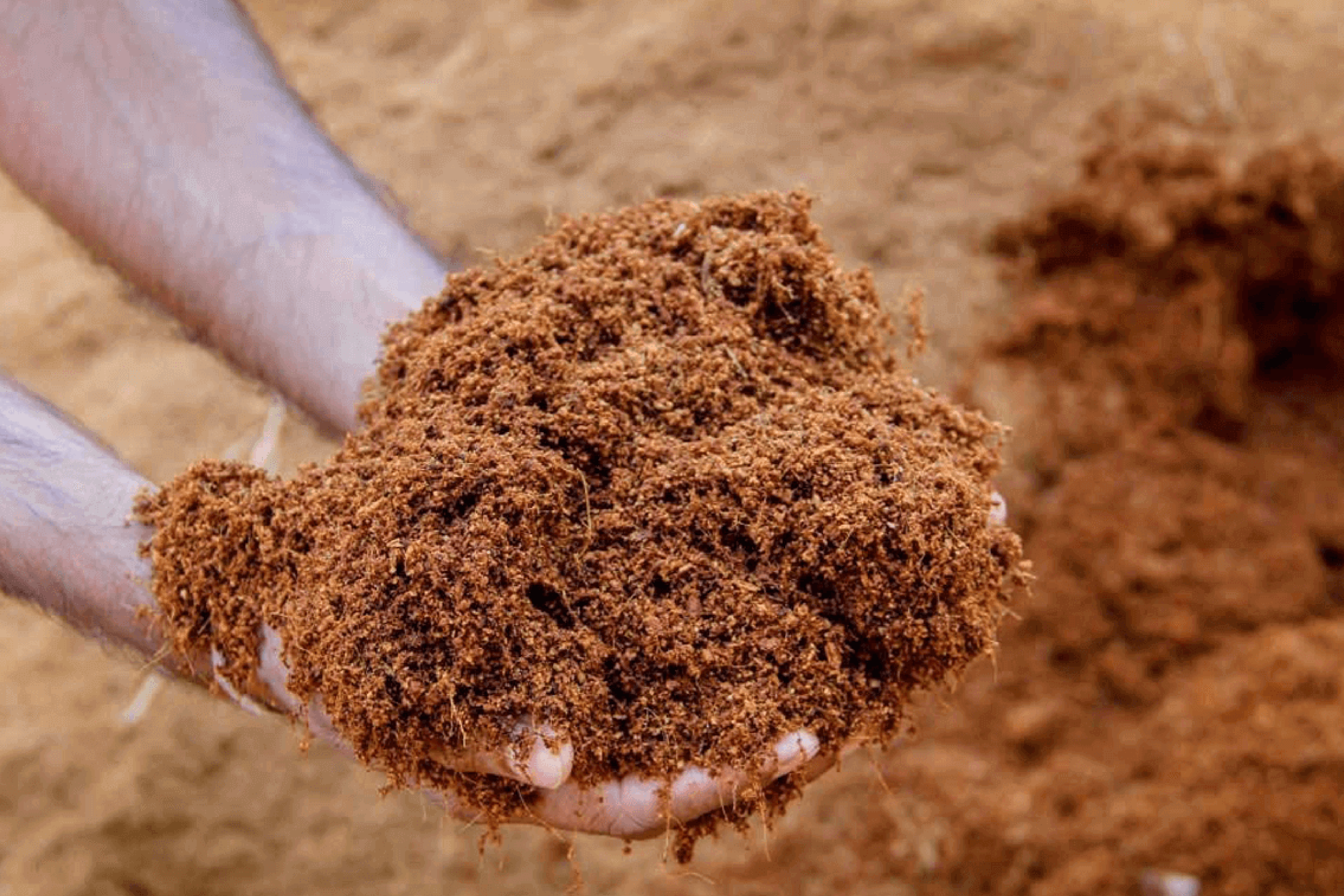 OUR PRODUCTS Background