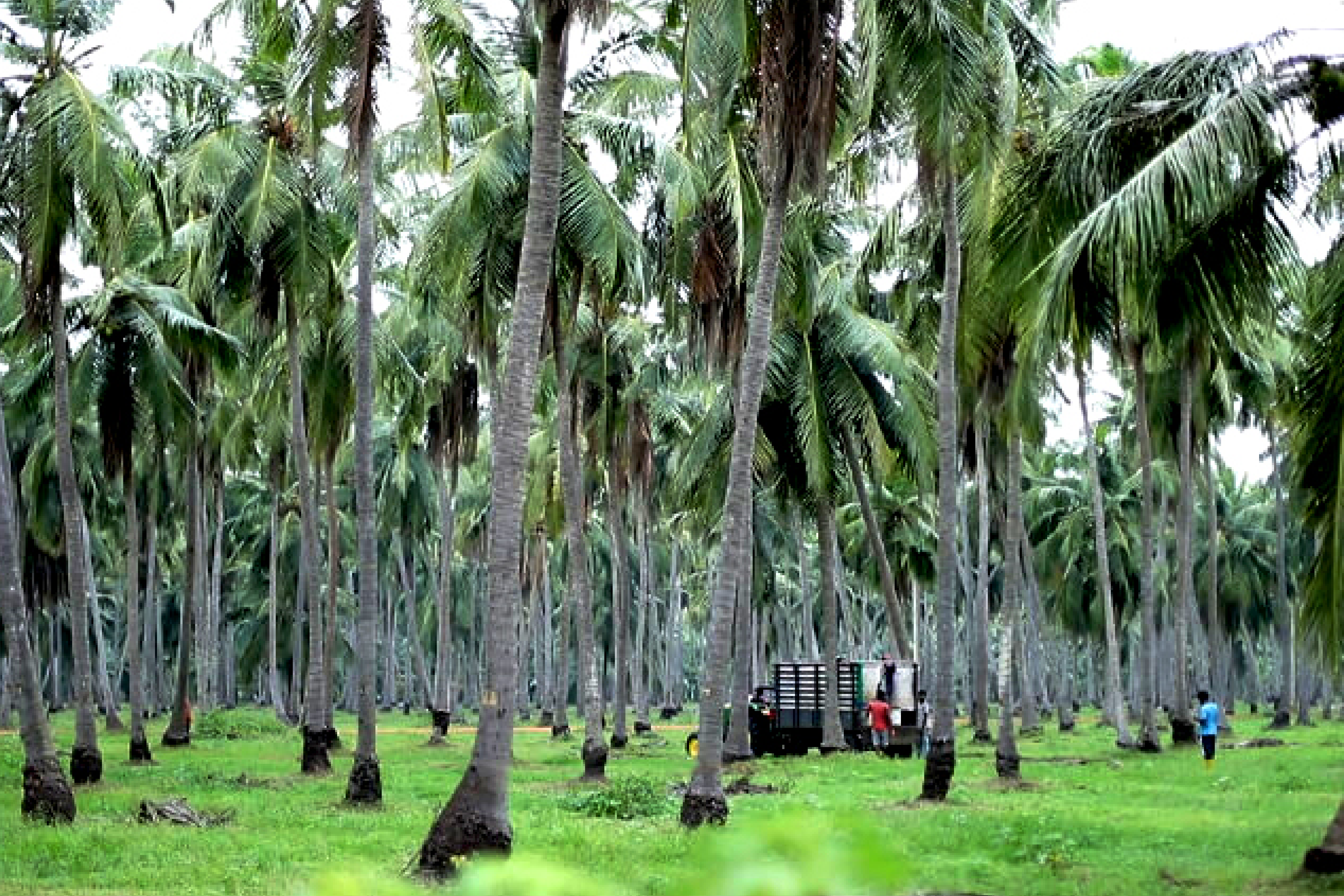 OUR CORE VALUES Background